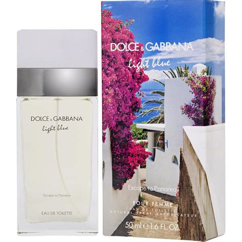 dolce and gabbana review